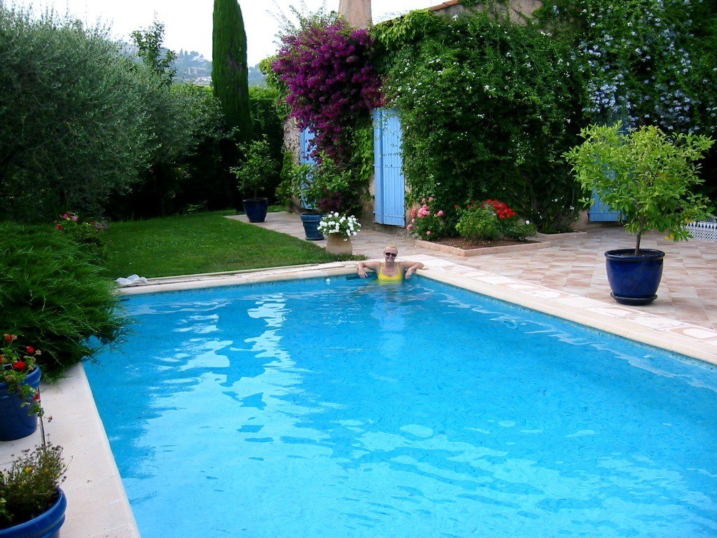 The Pool and Lawn Area