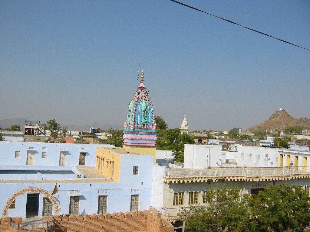 Visit some
                  of Pushkar's Brahma Temples