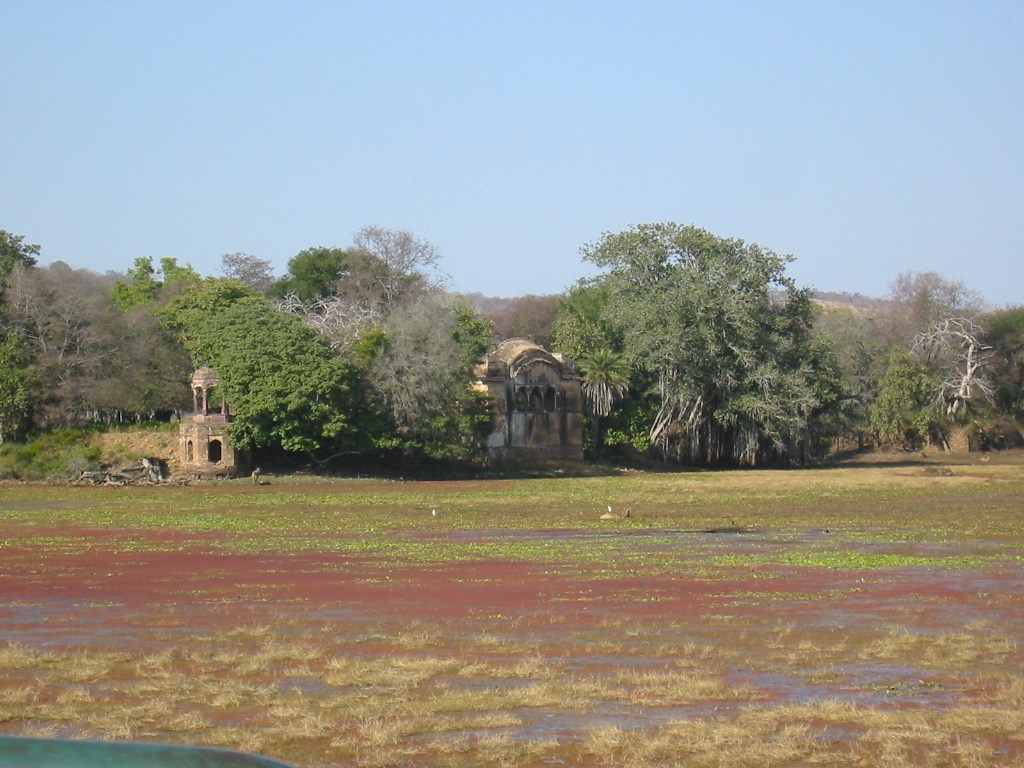 Hunting Lodge at Rathambore Park