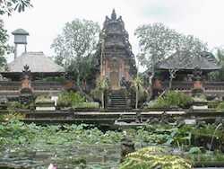 Visit the tropical
          paradise of Bali