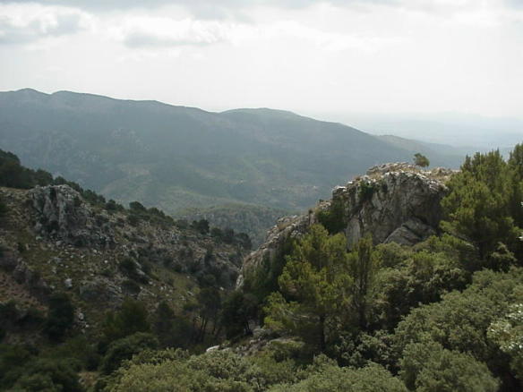 A view of the Serra de Tramuntana